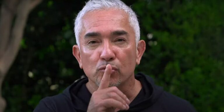 Qu'est-il arrivé à Cesar Millan après la fin de son chuchotement de chien d'exposition ?