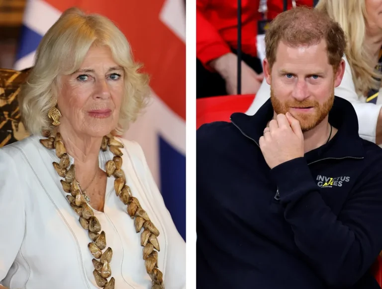 L'aide de la reine Camilla partage ce qu'elle pense vraiment à propos de son beau-fils le prince Harry ces jours-ci