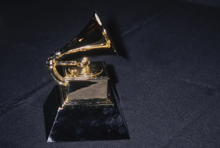 Les remplisseurs de sièges des Grammys sont-ils payés et sont-ils autorisés à parler à l'une des célébrités ?