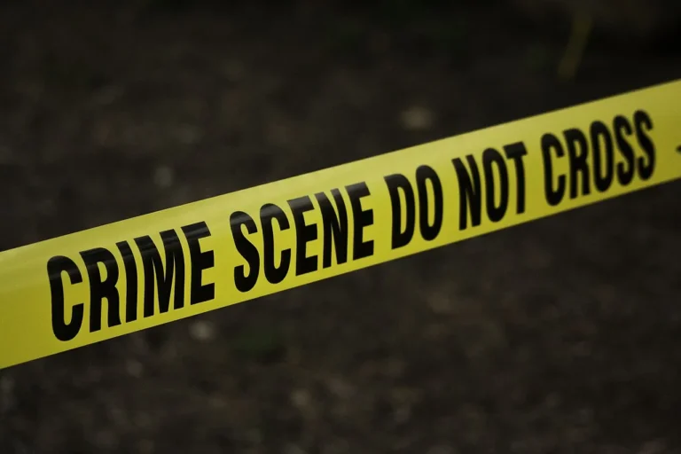 L'acteur James Handy, assassiné à Los Angeles, suspect en garde à vue