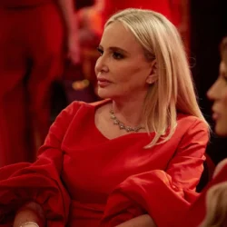 Les dépenses mensuelles de 37 000 $ de Shannon Beador suivent un modèle dangereux de « femmes au foyer »