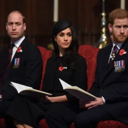 Le prince William refuse de reconnaître l&rsquo;existence du prince Harry et de Meghan